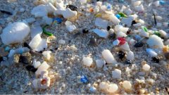 海洋中微塑料的含量比我们想象的要多一百万倍，这一研究结果令人震惊