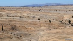 沐鸣平台登陆线路一个新发现的阿塔卡马沙漠土壤群落靠吸几口雾生存