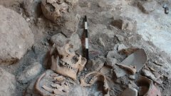 沐鸣平台注册登录官网专家透露，令人毛骨悚然的古代骨骼可能是被肢解的战俘