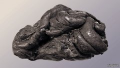 沐鸣平台登陆线路来自5700年前的“口香糖”的DNA显示了一位古代女性的长相