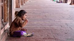沐鸣注册登录抗击儿童营养不良的全球进展掩盖了问题点