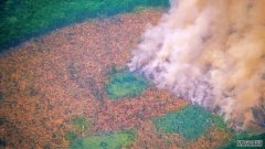 到2050年，森林大火可能会把亚马逊部分地区从一个碳海绵变成一个碳源