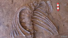 沐鸣平台登陆线路新的洞穴化石重新引发了关于尼安德特人埋葬方式的争论