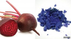 甜菜会流出红色的血，但是化学反应可以产生蓝色的色调