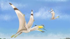 科学家们发现了1亿年前的翼龙遗骸，杏3沐鸣平台它们的喙长6英寸