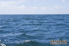 海洋沐鸣测速“生物泵”吸收的碳量是之前估计的两倍