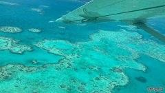 沐鸣注册登录大堡礁正在遭受有史以来最广泛的白化现象
