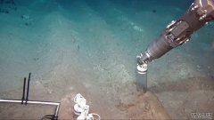 深海采矿可能会破坏水下生态系统数十年