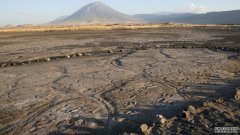 沐鸣平台登陆线路非洲发现了数量最多的古代人类脚印