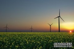 沐鸣测速国际能源机构呼吁制定3万亿美元的绿色复苏计划，目标是提高能效和可再生能源