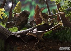 杏3沐鸣平台在阿拉斯加发现的小恐龙化石可能会改变人们对它们的看法