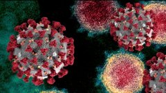 科学家说，沐鸣平台人类正在变异COVID-19病毒，但它正在反击