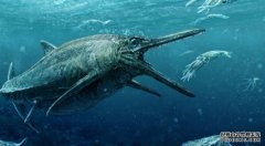 2.4亿年前的“巨齿鲨”胃里长有12英尺长的爬行动物