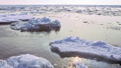 2018年，沐鸣平台登陆线路白令海冬季冰层缩小到5500年来的最低水平