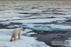 美国国家航空航天局说，到2100年，单是融化的冰盖就有使海平面上升38厘米的危险