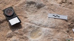 七个脚印可能是阿拉伯半岛上人类存在的最古老证据