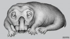 古代石龙的獠牙可能显示出类似冬眠状态的最古老迹象