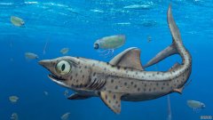杏3沐鸣平台3亿7千万年前的鲨鱼有着与地球上其他生物不同的牙齿