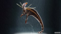 一种新发现的羽毛恐龙在肩膀上长有绒毛和奇怪的杆状物