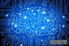 人类大脑干细胞将被用于驱动人工智能系统